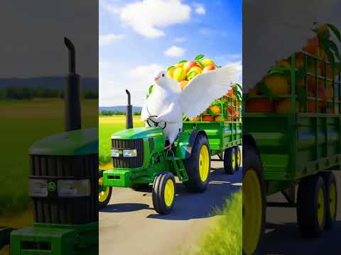 farmer and pegion 🕊️#ai #farmer #shorts