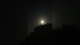 Lunar Eclipse #moon, #mooneclipse2025, #trendingshorts