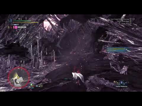 MHW - Nice CB Kill