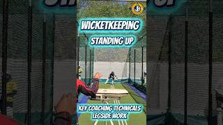 🔥Top Pro Technical Tips-Standing Up Legside Takes🧤 #cricketshorts #cricket #cricketcoaching #msdhoni