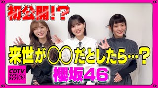 【CDTV】櫻坂46 初公開！? ⚡️ 来世が◯◯だとしたら何がいい？