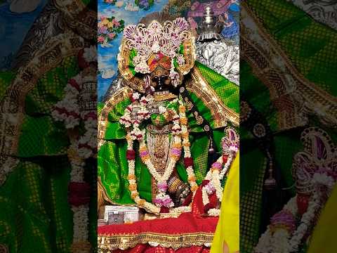 श्री जी के संध्या दर्शन #trending #shortsfeed #viralshort #vrindavan #bankebihari #shorts