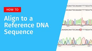 How to Align DNA Sequences to a Reference in SnapGene