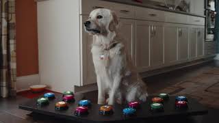 ThunderWunders Huckleberry (Button) Commercial 2021