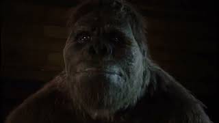 Natural History Museum Alive [2014] - Gigantopithecus Screen Time