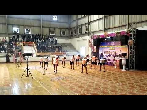 ips college freshers party
