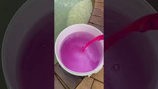 This Pool Got hit hard - Dirty Pool Cleanup #poolcleaning #pool #cleaning