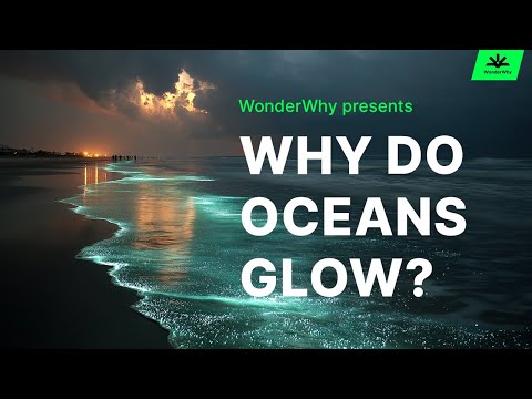 Why Do Oceans Glow? | The Magic Explained