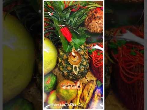 (❦जय ♡ྀིछठी ❀࿐माईꫂ❁ִֶָ࿐🌞🙏🥥๑┈•✦#trending #reelsvideo #viralsong #chhath #chhathimaiya #chhathpuja