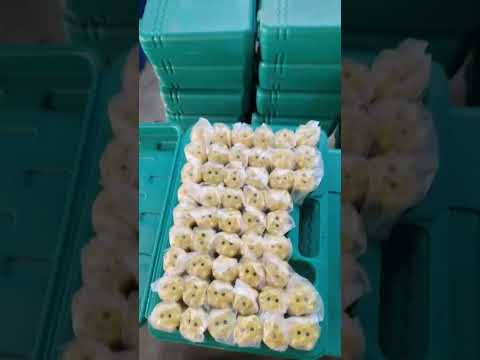 Thread button bit#threadbuttonbit #threadbuttonbits #threadbits