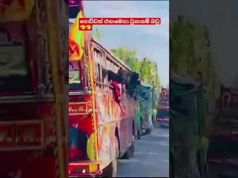 බුදුඅම්මෝ එයාලා වනන වැනිල්ල🫡🥵 #kasiya_bus_kingdom #dhamrejini #trending #viral