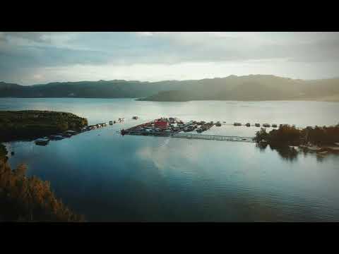 Vlog tobati