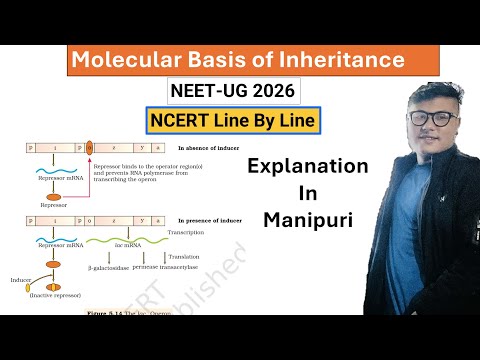 Regulation of Gene Expression || Molecular Basis || NCERT line by line || Explanation in Manipuri