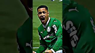 Palmeiras 4 x 1 Internacional! #futebol #palmeiras #internacional #brasileirao #musica