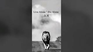 live like a King ❤️ #ytshorts #trendingshorts #viral #alone