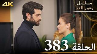 الحلقة 383 | مسلسل زهور الدم | مدبلج بالعربية | Kan Çiçekleri | جودة 4K