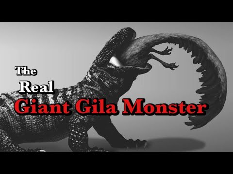 Palaeosaniwa: The Cretaceous B-Movie Star