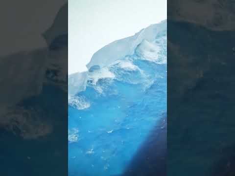 World's biggest iceberg runs aground