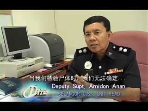 showreel xinni