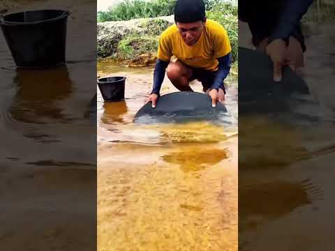 Gold Collecting on the Riverbank | Natural Gold Extraction#GoldExtraction #GoldHunting #NaturalGold