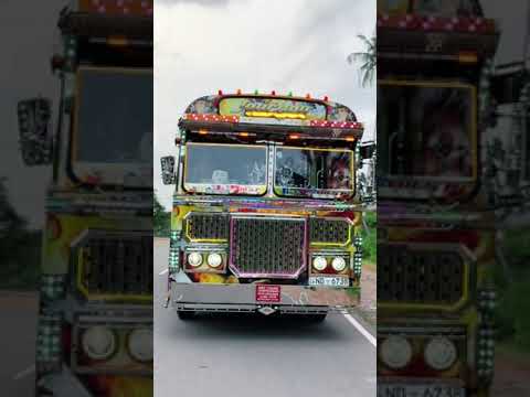 එයාගේ ලස්සන ❤️‍🔥 ගජමෑන් / Gajaman #bus #srilanka #tiktok #tiktokviral #subscribe #best