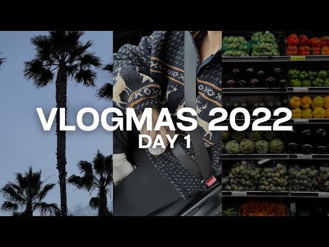 VLOGMAS DAY 1 | grocery haul, cleaning my apt, Homegoods