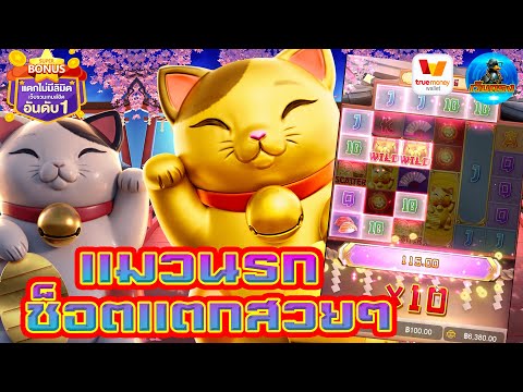 #เว็บตรง #สล็อตเว็บตรง #เว็บตรงไม่ผ่านเอเย่นต์ : แมวนรก ช็อตแตกสวยๆ