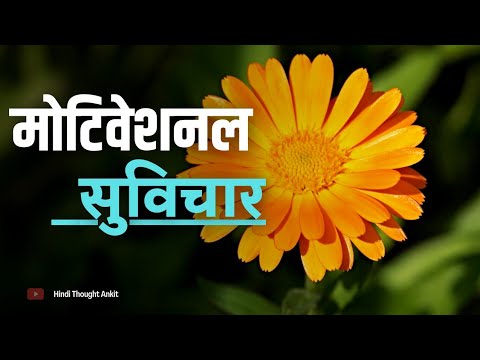 आज का मोटिवेशनल सुविचार || Motivational || Aaj ka Suvichar || Anmol Vichar || Morning Thought