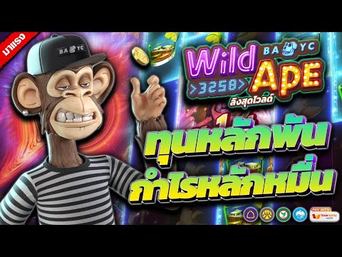 สล็อตลิงสุดไวลด์ Wild Ape 3258 ทุน 1,000 เบทต่ำ 30 ติดคอมโบแตกหมื่น !! | EP2. PG SLOT