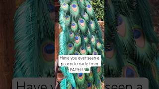 A PAPER PEACOCK?!🦚 #modelmaking #sculpture #animalsculpture #wildlifeart #peacock #papercrafts