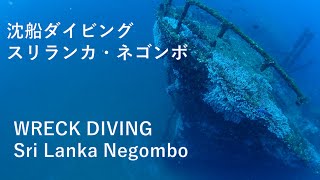 ADR Diving Sri Lanka Negombo 2022 Wreck Diving スリランカ　ネゴンボ　沈船ダイビング ASIA DIVE REPORT