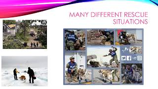 Copy of Wolf Search and Rescue SAR Dogs PSA