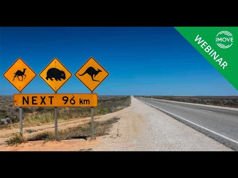 Large animal activated roadside monitoring and alerts system for vehicles