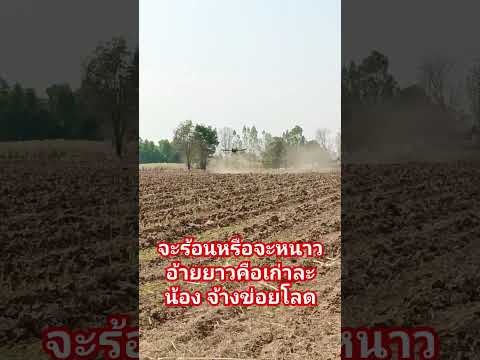 #djit30 #farming #คนบ้านเฮา #คนอีสาน #vlog #บ้านแท่นโดรนเกษตร