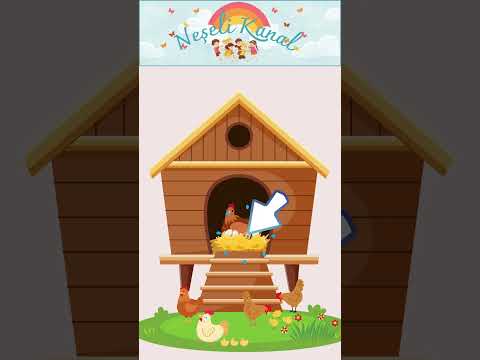 Haydi Bul! Resimdeki Hata Ne!!! #kids #çocuk #6yaş #5yaş #bulmaca