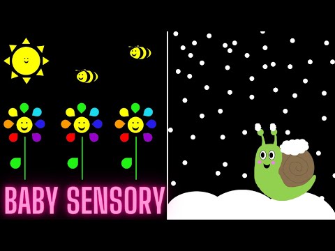 Baby Sensory Video | Seasons | High Contrast Colours, Classical Music and Fun Animation.