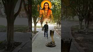 Gorakhtilla Dham🚩Gogamedi Yatra🙏#jaharveer​ #gorakhnath​ #viralvideo​ #shorts​ #new​ #bhakti​ #baba​