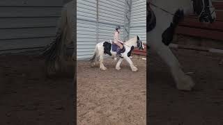 My first ride in this horse Tinker👑 #equestrian#horse#pony#beautiful#shorts#tinker#jazda konna#horse