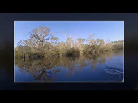 Kissimmee, Florida Highlights