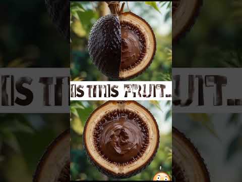 This Fruit Tastes Like Chocolate Pudding?! 🤯 | Black Sapote #fruitshorts