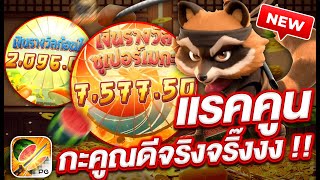 สล็อตpg สล็อตเว็บตรง สล็อตแตกง่าย : แรคคูนมาแว้ว