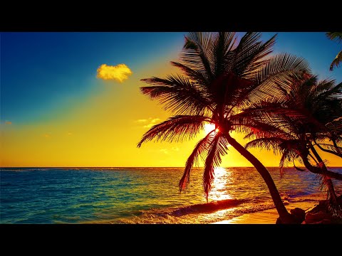 Beautiful Relaxing Peaceful Music, Calm Music 24/7, "Tropical Shores" By Tim Janis