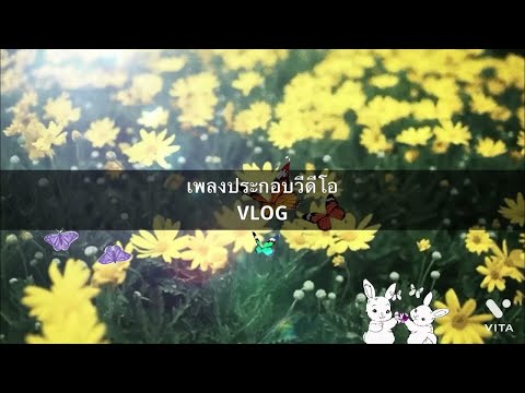 #sound เพลงโหลดฟรี สำหรับทำVlog  ทำคลิป
