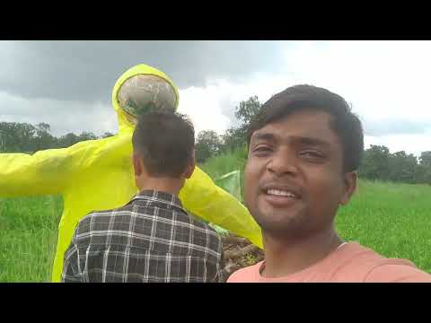 🌿🌿🌿🌿 My first vlog #piparwani #villagevlog #explorepage #kheti
