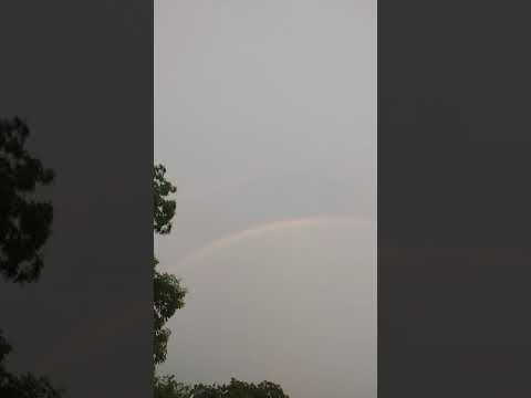 #shortvideo#,#wahran#,#enjoymentwithnature#💞💞💞💞,#17