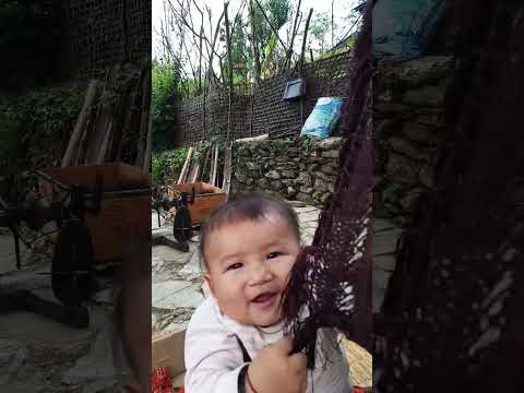 baby short vedio