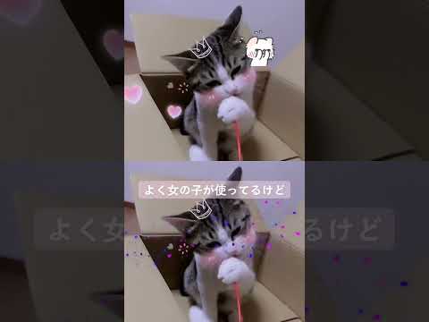 これでも男の子なんです🤗💕