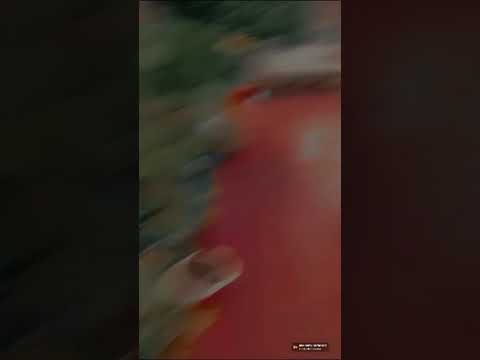 Nature #shorts#subscribetomychannel