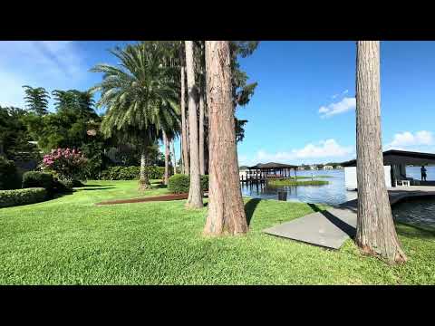 Fire Ant Invasion on Lakefront Property – Up Close!