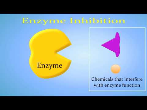 Enzyme Inhibition (Competitive vs. Non-Competitive/Allosteric)